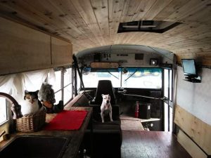 Read more about the article School Bus Homes: Life On The Road